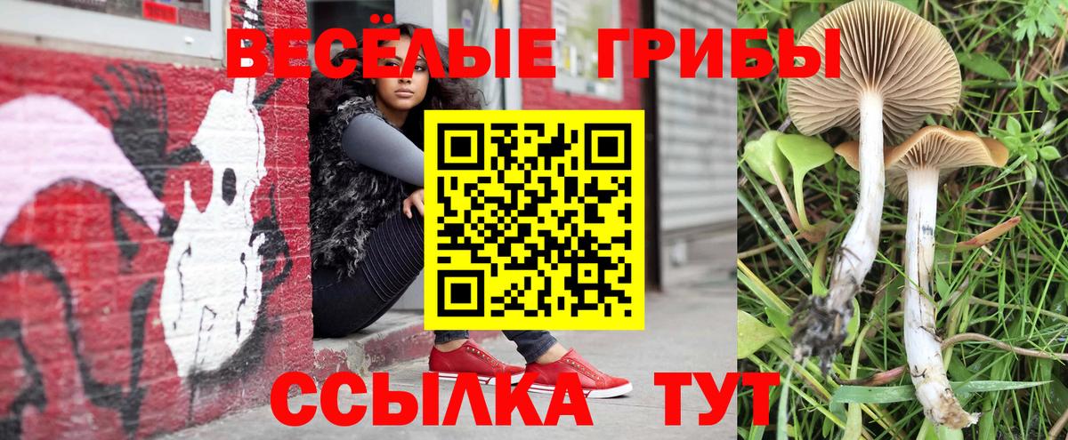 Галлюциногенные грибы MAGIC MUSHROOMS Кондопога