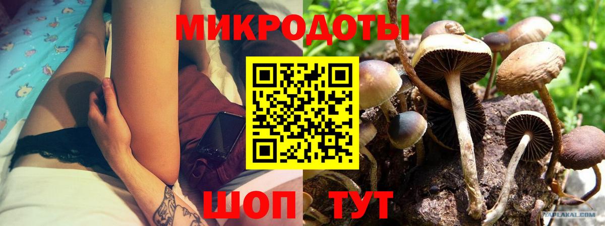 Галлюциногенные грибы мухоморы  Вход с VPN  Кондопога  купить наркотики сайты  Галлюциногенные грибы ЛСД 